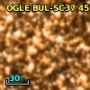 OGLE BUL-SC37 451657