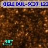 OGLE BUL-SC37 123009