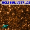 OGLE BUL-SC37 123106