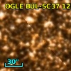 OGLE BUL-SC37 123013