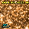 OGLE BUL-SC37 462162