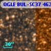 OGLE BUL-SC37 462170
