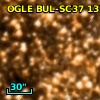 OGLE BUL-SC37 133329