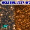 OGLE BUL-SC37 462177