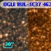 OGLE BUL-SC37 462182