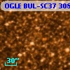 OGLE BUL-SC37 308559