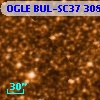 OGLE BUL-SC37 308561