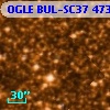 OGLE BUL-SC37 473091