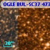 OGLE BUL-SC37 473104