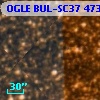 OGLE BUL-SC37 473090