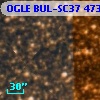 OGLE BUL-SC37 473092