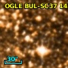 OGLE BUL-SC37 143680