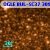 OGLE BUL-SC37 308698