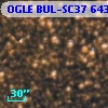 OGLE BUL-SC37 643308