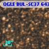 OGLE BUL-SC37 643311
