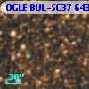 OGLE BUL-SC37 643312