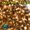 OGLE BUL-SC37 308593