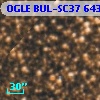 OGLE BUL-SC37 643321