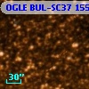 OGLE BUL-SC37 155370