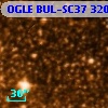 OGLE BUL-SC37 320438