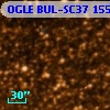 OGLE BUL-SC37 155372