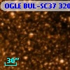 OGLE BUL-SC37 320464