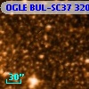 OGLE BUL-SC37 320382