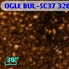 OGLE BUL-SC37 320481