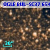 OGLE BUL-SC37 654611