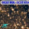 OGLE BUL-SC37 654619