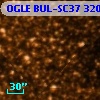 OGLE BUL-SC37 320507