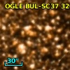 OGLE BUL-SC37 320511