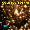 OGLE BUL-SC37 484424