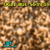 OGLE BUL-SC39    107