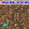 OGLE BUL-SC39  40738