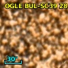 OGLE BUL-SC39 281794