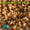 OGLE BUL-SC39 515623