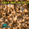 OGLE BUL-SC39 528073