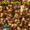 OGLE BUL-SC39 361382