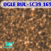 OGLE BUL-SC39 169919