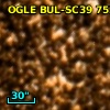 OGLE BUL-SC39 753341