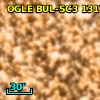 OGLE BUL-SC3 131706