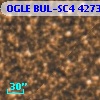 OGLE BUL-SC4 427323