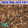 OGLE BUL-SC4 242181
