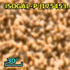 OGLE BUL-SC4 648007