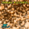 OGLE BUL-SC4 660768