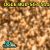OGLE BUL-SC4 511192