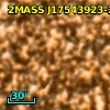 OGLE BUL-SC4 533759