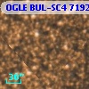 OGLE BUL-SC4 719244