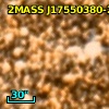 OGLE BUL-SC4 719229